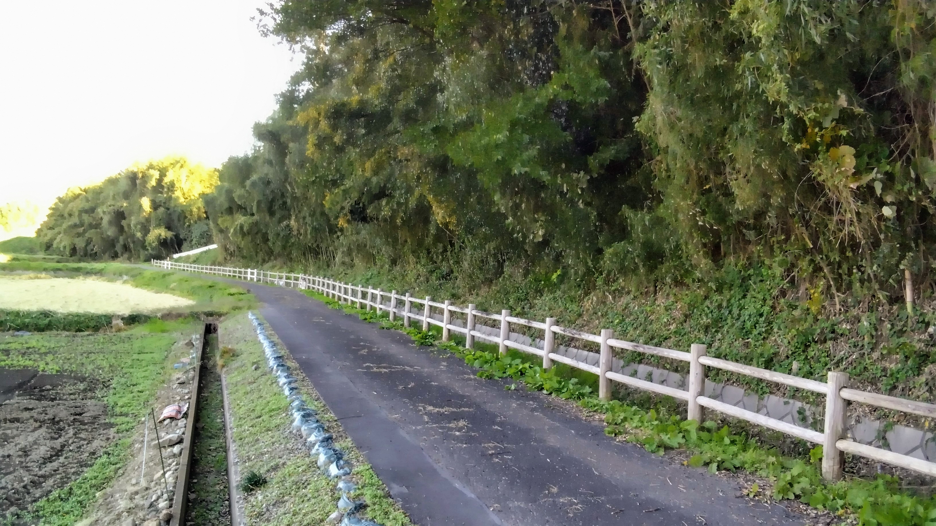 川端町写真（右）