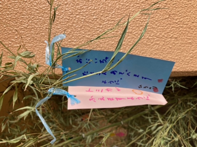 image0.jpeg