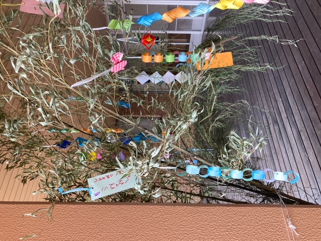 image2.jpeg